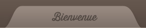 Bienvenue